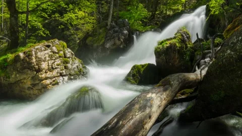 Austria Timelapse Forest River Stock Footage 153292072