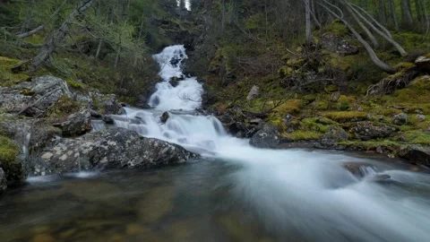 Austria Timelapse Forest River Stock Footage 153294506