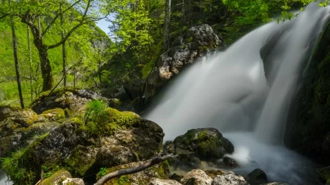Austria Timelapse Forest River Waterfall Stock Footage 153292058