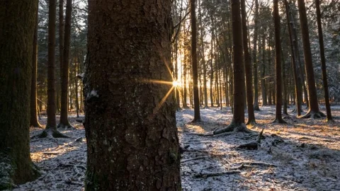 Austria Timelapse Forest Winter Sunset Stock Footage 153290906