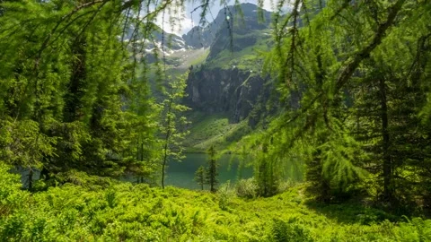 Austria Timelapse Mountain Forest Stock Footage 153292849