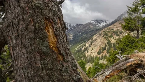 Austria Timelapse Mountain Landscape Stock Footage 153292167
