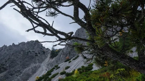 Austria Timelapse Mountain Landscape Stock Footage 153293505