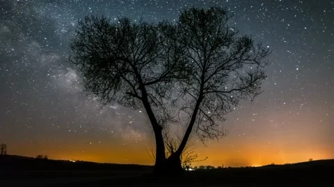 Austria Timelapse Nightsky Tree Stock Footage 153291849