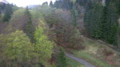 Austria - Trees, Forest, Cloudy 库存影片 131172737