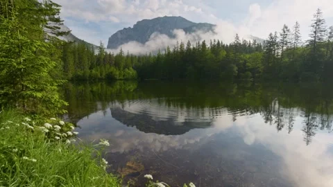 Austrian alpine lake surrounded by forests and mountains. Sunny morning in the Stock Footage 277397391
