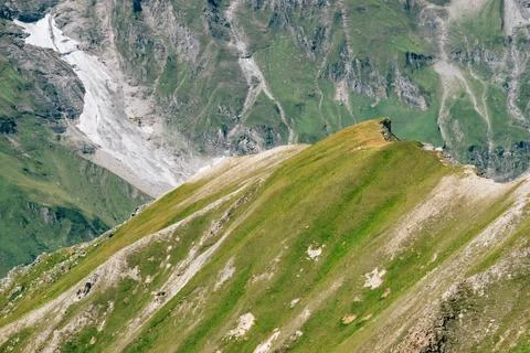 Austrian alps closeup Stock Photos