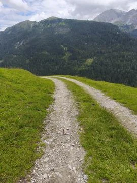 Austrian Alps Dirt Trail Through Green Meadow 스톡 사진