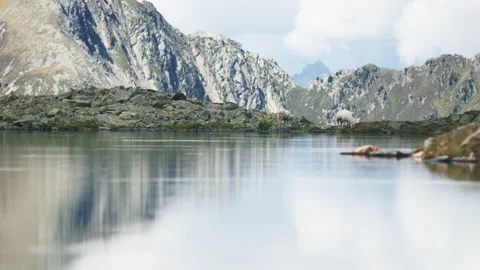 The Austrian Alps Stock Footage 141123492