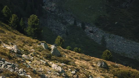 The Austrian Alps Stock Footage 141123958