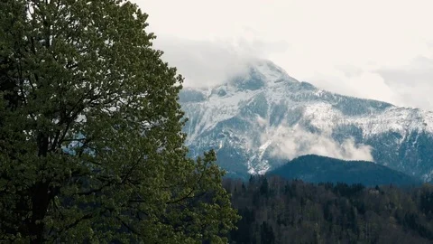 Austrian Alps mountains with trees Video stock 74921389