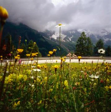 Austrian alps Stock Photos