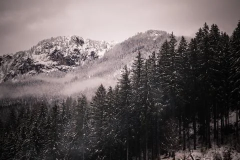 Austrian alps Stock Photos