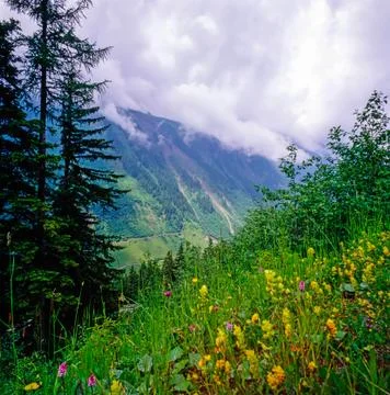 Austrian Alps Stock Photos