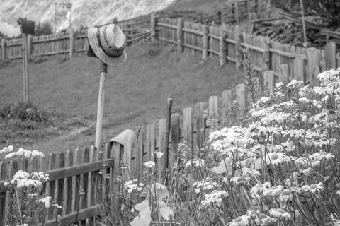 The austrian alps Stock Photos