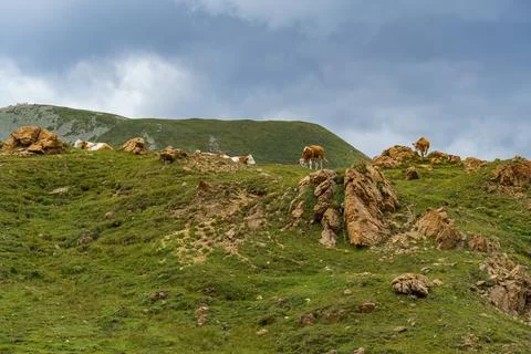 In the austrian alps Stock Photos