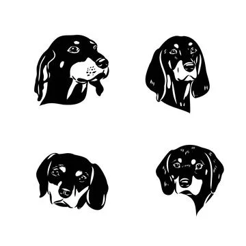 Austrian Black and Tan Hound austrian brandlbracke vector Stock Illustration
