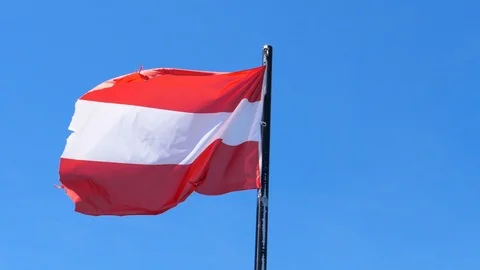 Austrian flag blowing in the wind slow motion Stockbeeldmateriaal 114479926