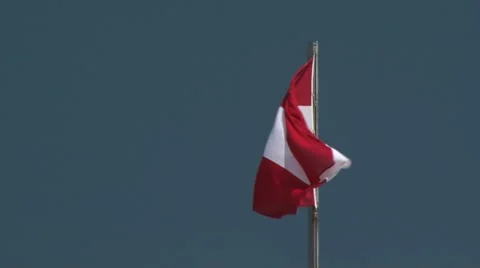 Austrian flag 스톡 동영상 21438954