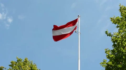 Austrian flag - green trees - blue sky - sunny Stock-Footage 41742586