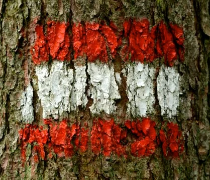 Austrian flag on tree Stock-Fotos