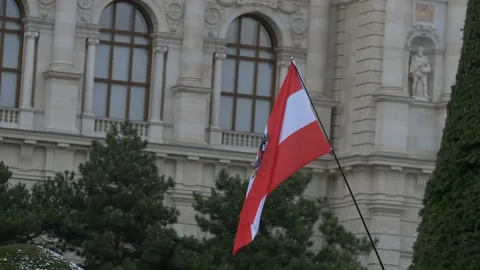 Austrian flag waving in heavy wind at protest march Stock Footage 146796014