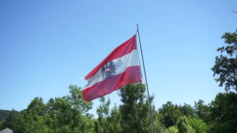 Austrian flag waving in the wind on sunny day Austria Stock Footage 135578310