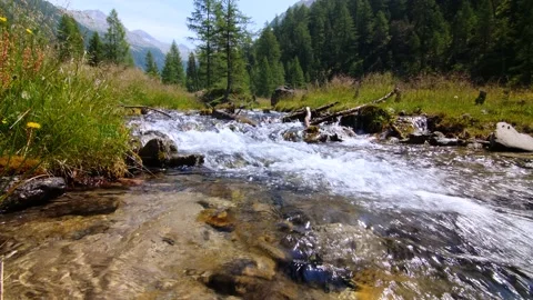 Austrian mountain stream in Carinthia- Stock Footage 158623084