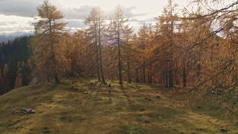 Austrian Mountains in Autumn Stock Footage 148043423