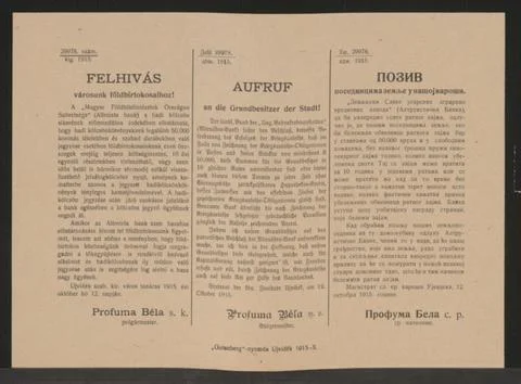 Austrian Museums, 17th-20th ct, Call to the landowners of the city! - Neusatz - Fotos Stock