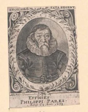 Austrian Museums, 17th-20th ct, Parous Phil. Foto stock