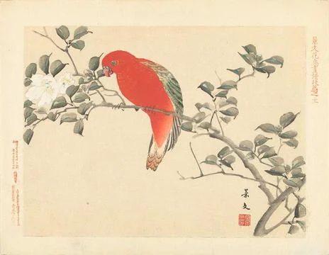 Austrian Museums, 17th-20th ct, Red parrot on branch with white flowers; Flower Foto stock
