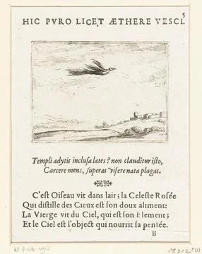 Austrian Museums, 17th-20th ct, Bird of paradise; Hic Puro Licet Aethere VESCI; Stock-Fotos