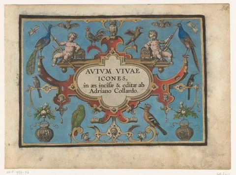Austrian Museums, 17th-20th ct, Title Print for: Avium Vivae Icones (...); Avium Stock Photos
