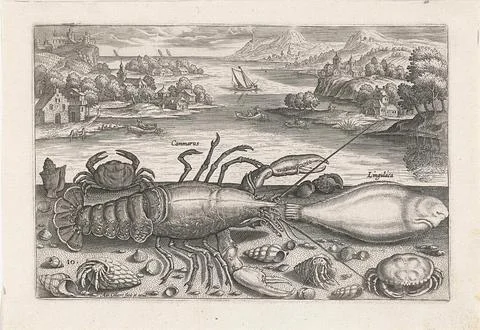 Austrian Museums, 17th-20th ct, A fish and a few shellfish on the beach; Stock Photos