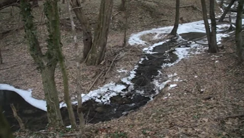 Austrian stream in winter Vídeos de archivo 8760719
