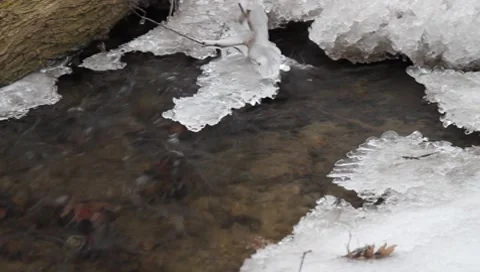 Austrian stream in winter Vídeos de archivo 8760755