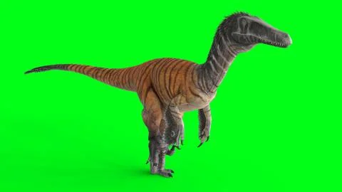 Austroraptor with green background Stock Illustration