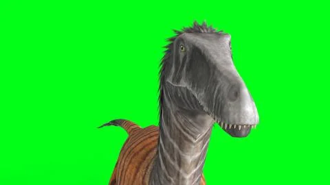 Austroraptor with green background Stock Illustration