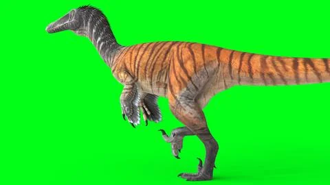 Austroraptor with green background Stock Illustration
