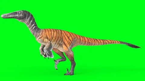 Austroraptor with green background Stock Illustration
