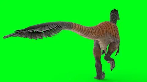 Austroraptor with green background Stock Illustration
