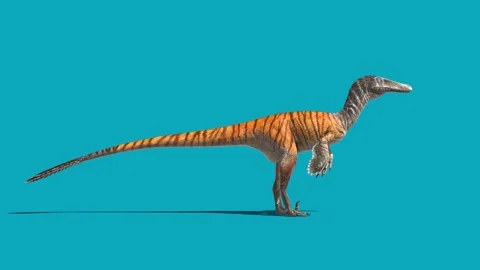 Austroraptor Idle Blue Screen Loop Dinosaurs 3D Rendering Animation 4K Stock Footage 148829378
