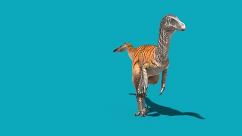 Austroraptor Walks Blue Screen Front Dinosaurs 3D Rendering Animation 4K Stock Footage 148829520