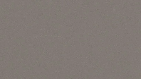 Authentic 8mm Grain Texture Overlay with Dust, Dirt, Grunge and Film Grit Vídeo Stock 308412991