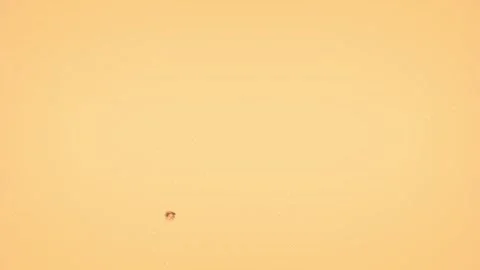 Authentic analog film grain loop with visual texture and noise elements Stock Footage 311563823