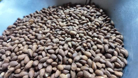 The authentic berber Amlou Agadir, Morocco 26-07-2024 Vídeo Stock 280992768