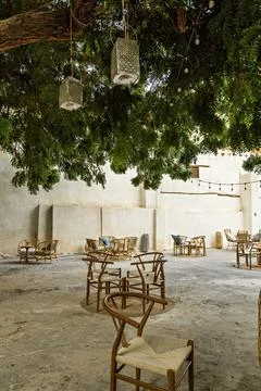 Authentic cafe in the shadow of the largest tree in Jeddah old town Saudi Ara Stock Photos