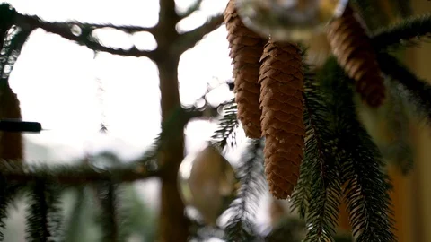 Authentic Christmas decoration with pine seed, Heuchlingen, Germany. Stock Footage 102645936