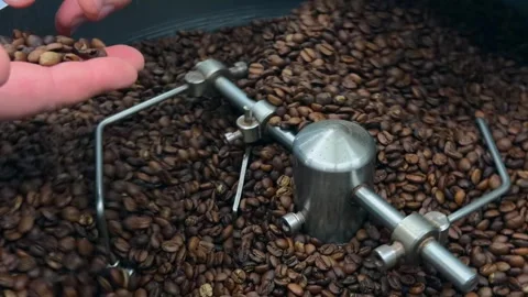 Authentic Close Up of Professional Roaster Operator Hand Scooping Brown Bea.. 스톡 동영상 332155545